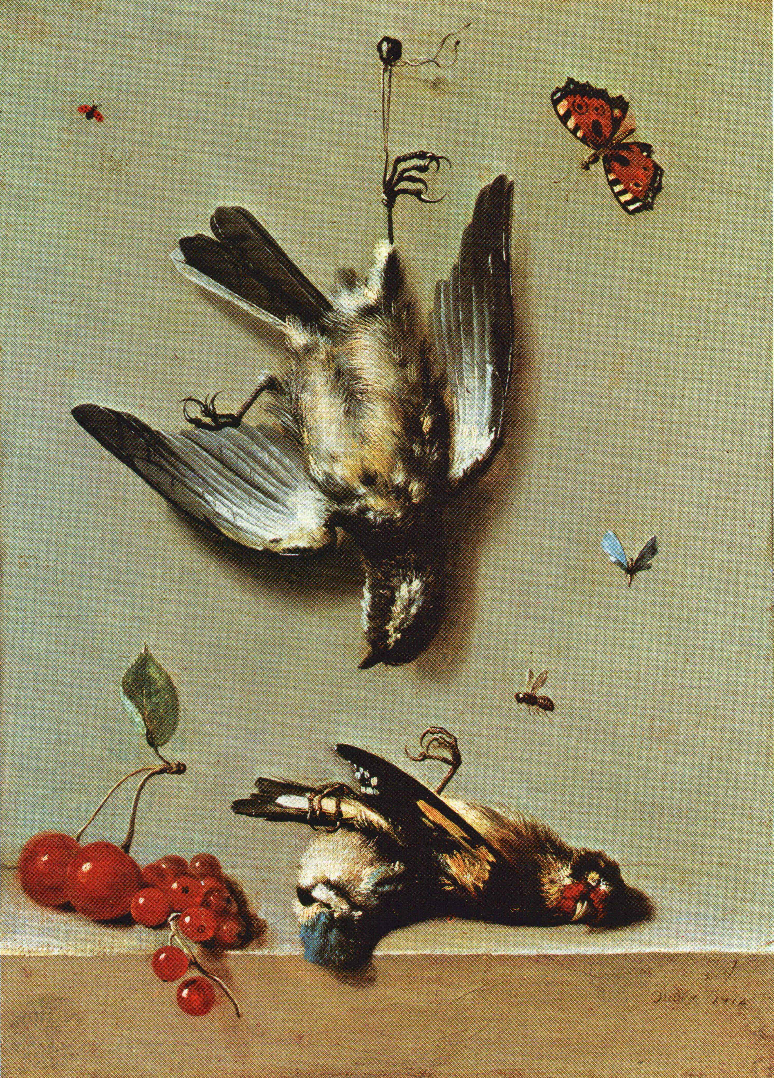 Nature morte avec trois oiseux morts